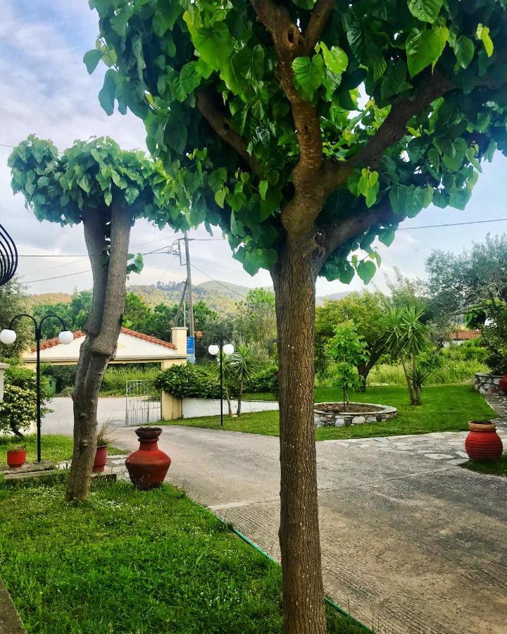 Pansion Episkopi Studios Skopelos Eksteriør billede