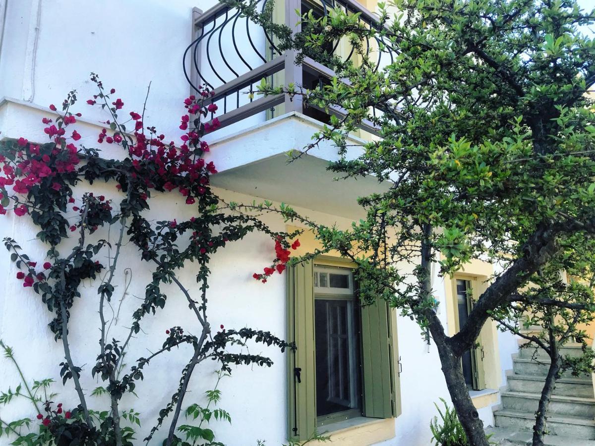 Pansion Episkopi Studios Skopelos Eksteriør billede