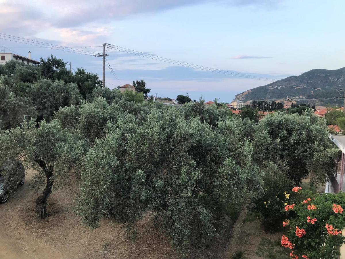 Pansion Episkopi Studios Skopelos Eksteriør billede
