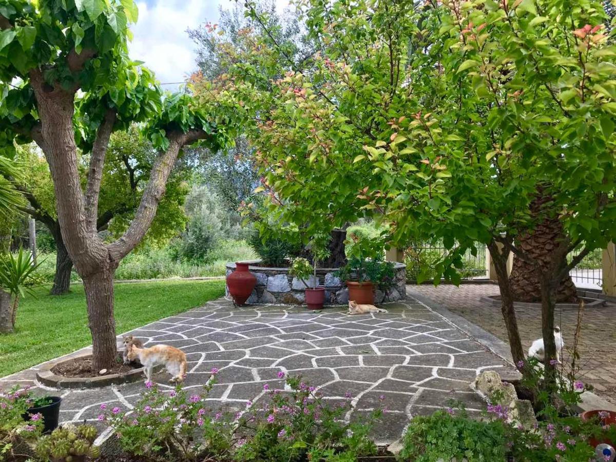 Pansion Episkopi Studios Skopelos Eksteriør billede
