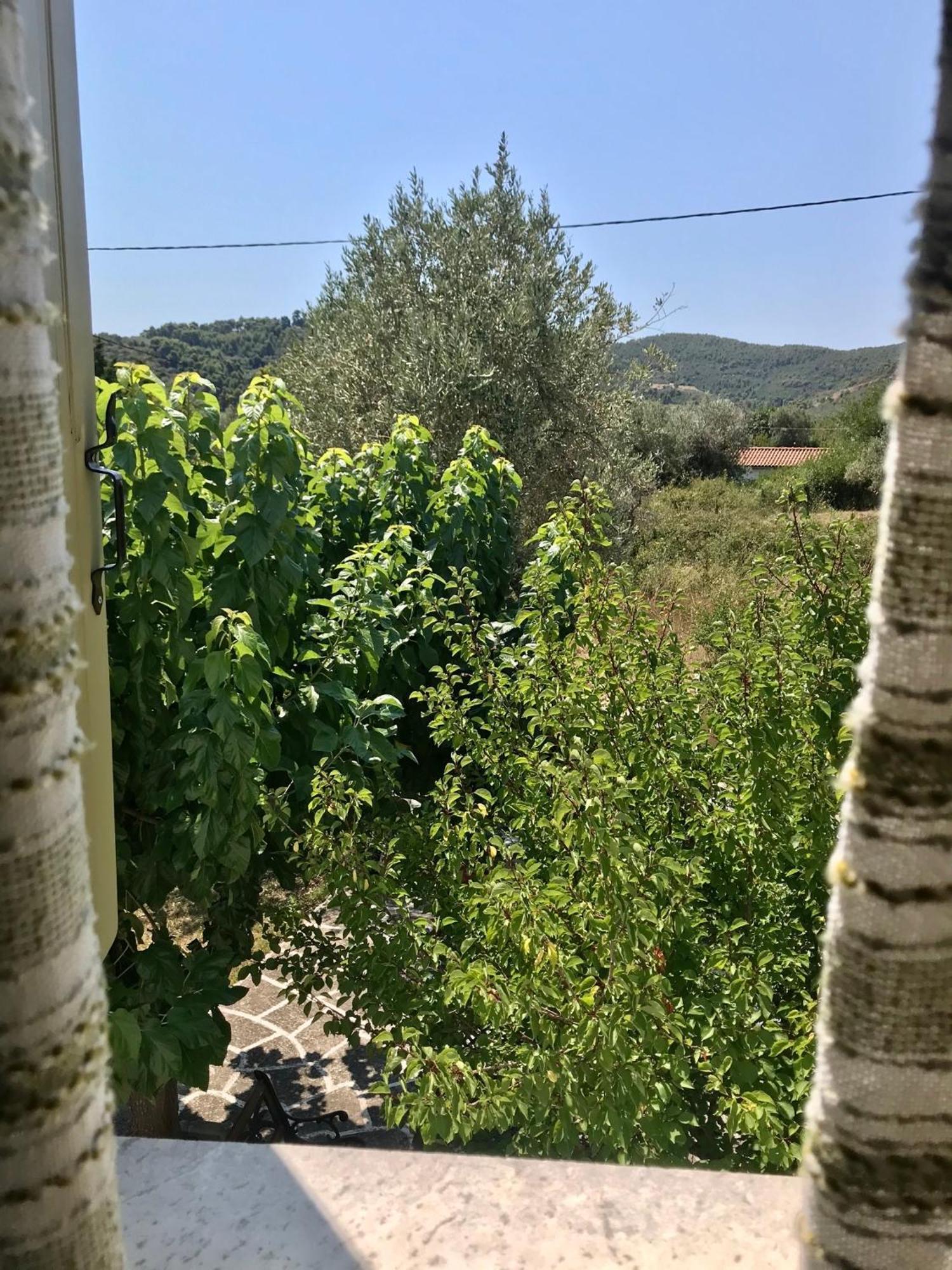 Pansion Episkopi Studios Skopelos Eksteriør billede