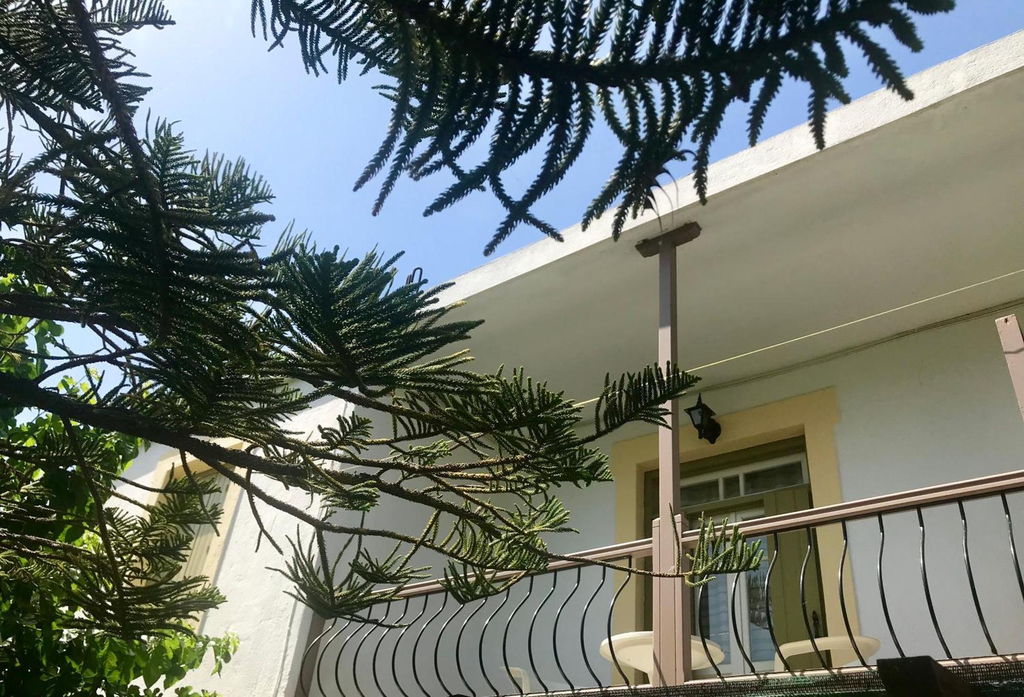Pansion Episkopi Studios Skopelos Eksteriør billede