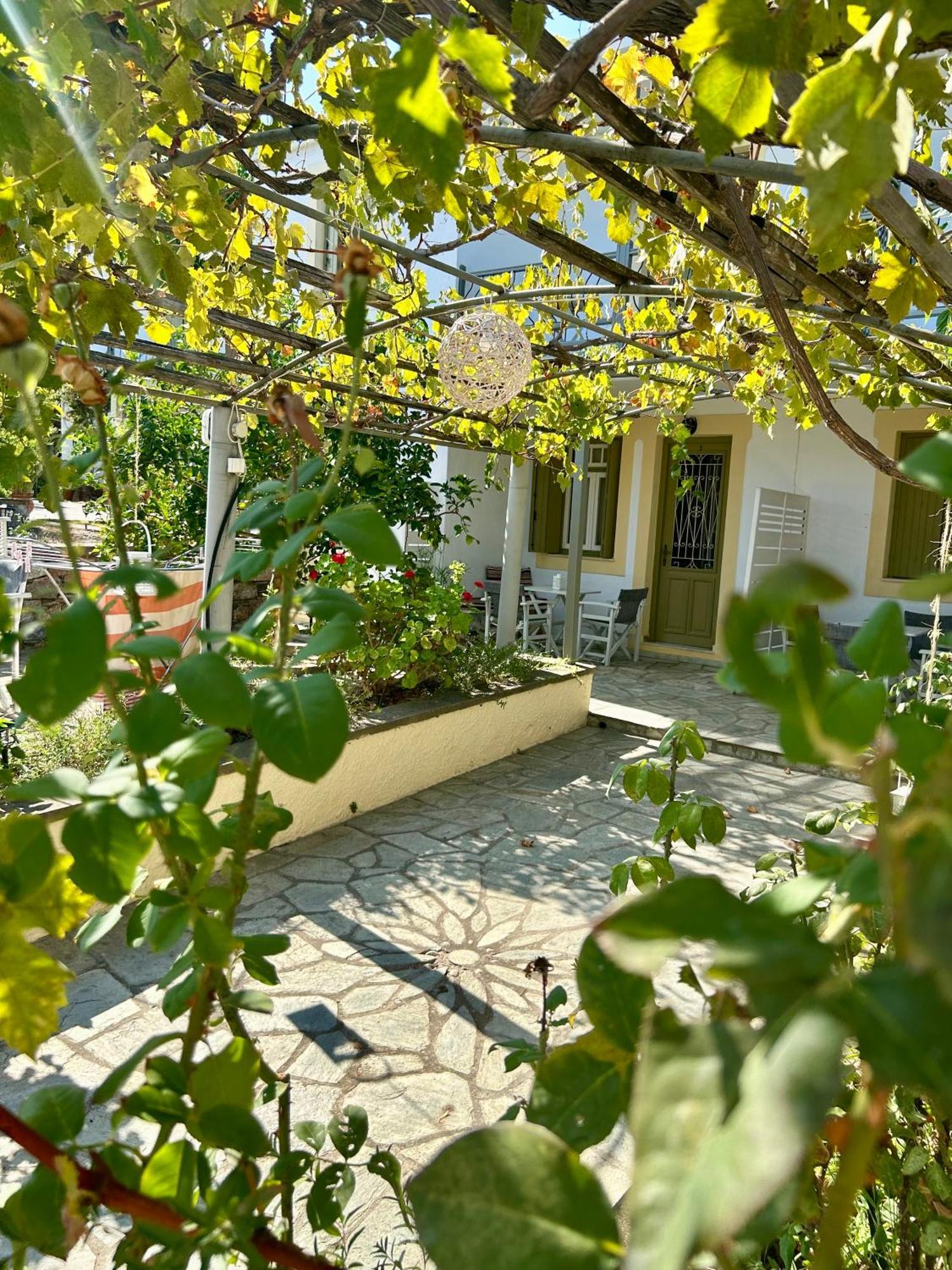Pansion Episkopi Studios Skopelos Eksteriør billede